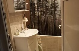 Apartament 2 camere, semidecomandat, 30 mp, zona Nord.