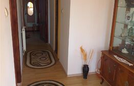 Proprietate cu doua imobile, 225 mp utili, teren cu 800 mp, Nord