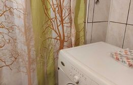 Garsoniera, 31 mp, etaj intermediar, Nord