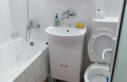 Garsoniera, 30 mp, etaj intermediar, Paltinis