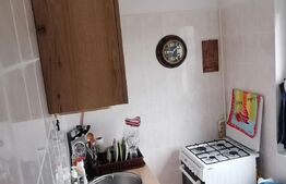 Garsoniera, 30 mp, etaj intermediar, Paltinis