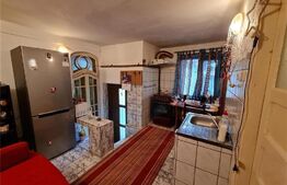 Casa interbelica cu 2 camere, 70 mp, teren de 110 mp, Centru