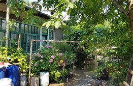 Casa renovabila/demolabila 4 camere, 124 mp, 506 mp teren, Gheorghe Doja