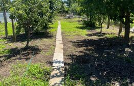 Casa cu 4 camere, 110 mp utili, teren cu 1000 mp