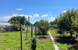 Casa cu 4 camere, 110 mp utili, teren cu 1000 mp