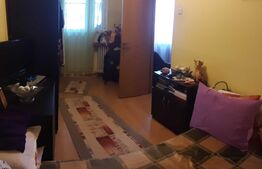 Apartament 2 camere, 42 mp, Mihai Bravu