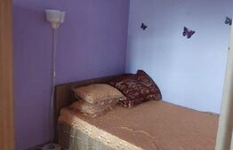 Apartament 2 camere, 42 mp, etaj intermediar, Malu Rosu