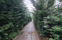 Apartament 2 camere, semidecomandat, 50 mp+ terasa, zona Mihai Bravu