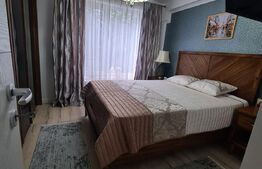 Apartament 2 camere, semidecomandat, 50 mp+ terasa, zona Mihai Bravu