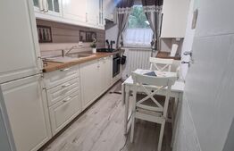 Apartament 2 camere, semidecomandat, 50 mp+ terasa, zona Mihai Bravu