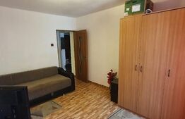 Garsoniera, 24 mp, decomandat, Malu Rosu