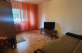 Garsoniera, 24 mp, decomandat, Malu Rosu