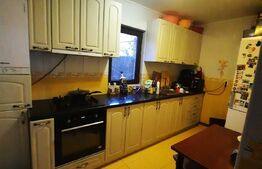 Casa cu 5 camere, 200 mp utili, teren cu 200 mp, Bereasca