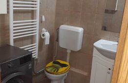 Garsoniera, 40 mp, primul etaj, Cantacuzino