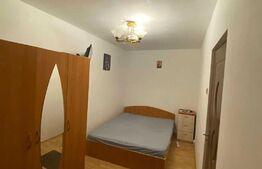 Apartament cu 2 camere, 46 mp, etaj intermediar, Malu Rosu