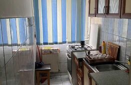 Apartament cu 2 camere, 46 mp, etaj intermediar, Malu Rosu