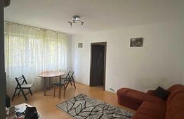 Apartament cu 2 camere, 46 mp, etaj intermediar, Malu Rosu