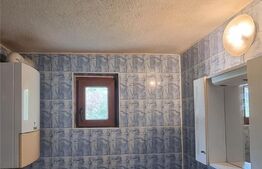 Casa 4 camere, 160 mp, Exterior Vest