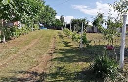 Casa cu 90 mp utili, teren cu 1576 mp, sat Seciu