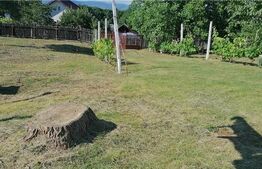 Casa cu 90 mp utili, teren cu 1576 mp, sat Seciu