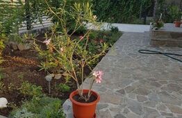 Casa cu 4 camere, 100 mp utili, teren cu 250 mp, Tatarani