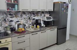 Casa individuala, 3 camere, 100 mp utili, teren cu 188 mp, Bereasca