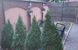 Casa individuala, 3 camere, 100 mp utili, teren cu 188 mp, Bereasca