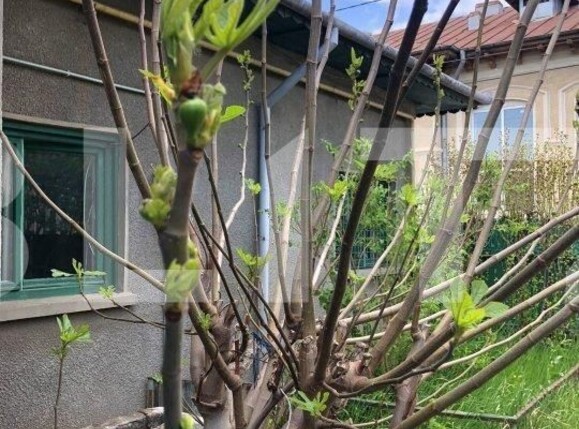 Casa de vânzare 4 camere Gheorghe Doja - 105034CV | BLITZ Ploieşti | Poza5