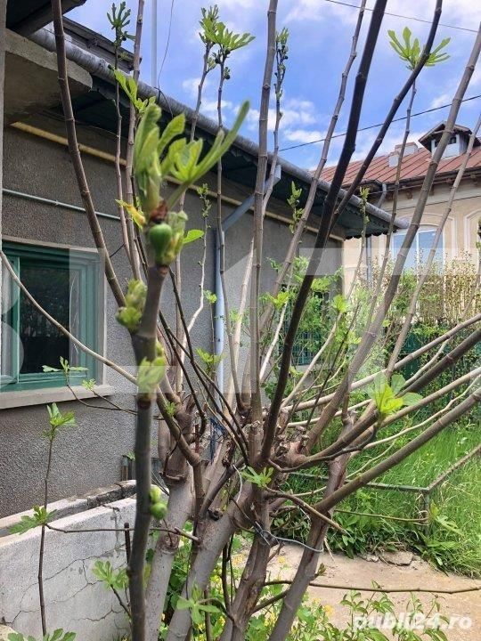 Casa de vânzare 4 camere Gheorghe Doja - 105034CV | BLITZ Ploieşti | Poza5