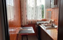 Apartament 2 camere, 41 mp, Vest