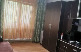 Garsoniera, 30 mp, mobilata, Vest