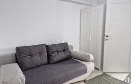 Garsoniera, 20 mp, mobilata, Ultracentral