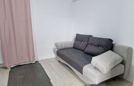 Garsoniera, 20 mp, mobilata, Ultracentral