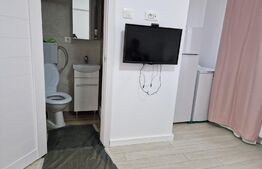 Garsoniera, 20 mp, mobilata, Ultracentral