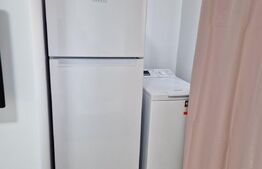 Garsoniera, 20 mp, mobilata, Ultracentral