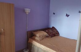 Apartament 2 camere, 42 mp, Malu Rosu