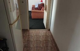 Apartament 2 camere, 42 mp, Malu Rosu