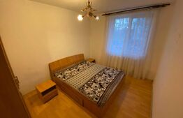 Apartament cu 2 camere, 42 mp, parter, Cina
