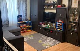 Apartament 3 camere, 56 mp, Paltinis