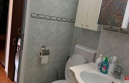 Apartament 3 camere, 56 mp, Paltinis