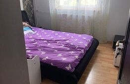 Apartament 3 camere, 56 mp, Paltinis