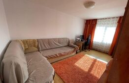 Apartament 3 camere,  59mp, Paltinis