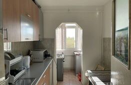 Apartament 3 camere,  59mp, Paltinis