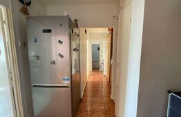 Apartament 3 camere,  59mp, Paltinis