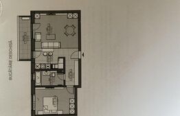 Apartament cu 2 camere, 60 mp, semidecomandat, Vest