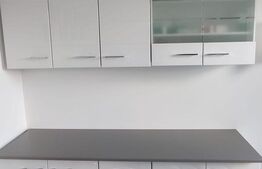 Apartament cu 2 camere, 44 mp, etaj intermediar, Malu Rosu