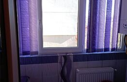 Apartament 3 camere, 62 mp, Paltinis