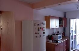 Apartament 3 camere, 62 mp, Paltinis