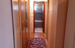 Apartament 3 camere, 62 mp, Paltinis