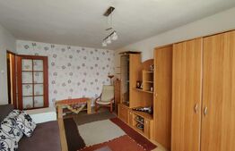 Apartament 2 camere, 57 mp, Mihai Bravu